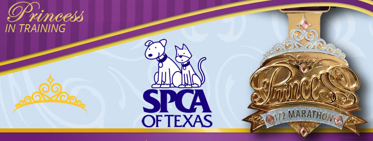 SPCA_Princess_Cover_Photo