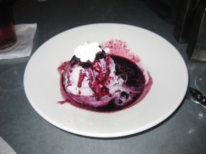 Alaskan Blueberry Ice Cream