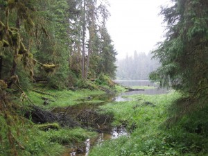 Anan Creek Trail