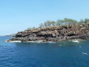 Body Glove Snorkel Cruise