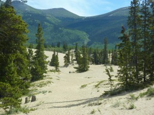 Carcross Desert