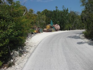 Castaway Cay Bike Trails