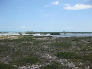 Castaway Cay Bike Trails