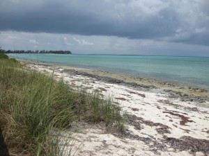 Castaway Cay Bike Trails