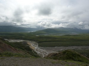 Denali National Park