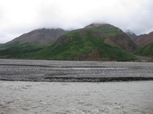 Denali National Park