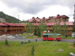 Denali Princess Wilderness Lodge