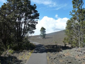 Devastation Trail