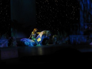 Disney Dreams show