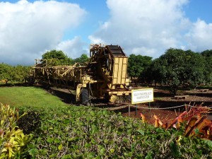 Dole Pineapple Plantation