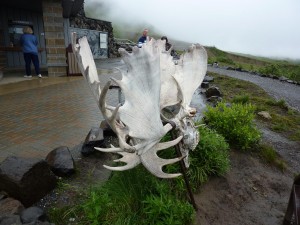 Eielson Visitor Center