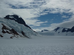 Glacier dog sledding