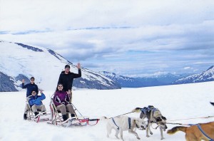 Glacier dog sledding