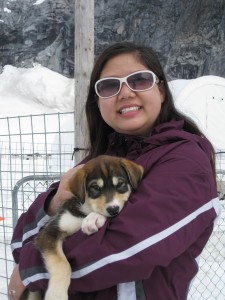 Glacier husky dog camp