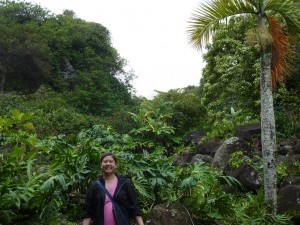Iao Valley State Park
