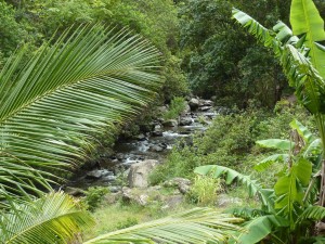 Iao Valley State Park