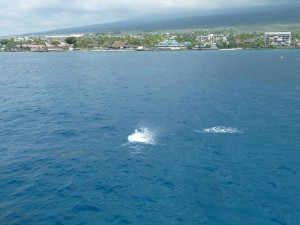 Kailua Kona