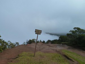 Kokee State Park