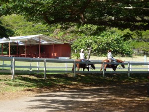 Kualoa Ranch