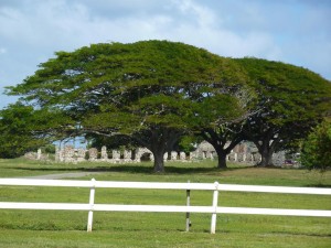 Kualoa Sugar Mill Ruins