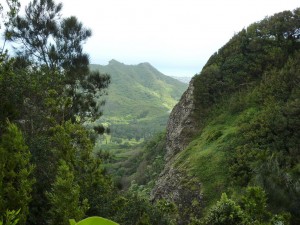 Nuuanu Pali Outlook