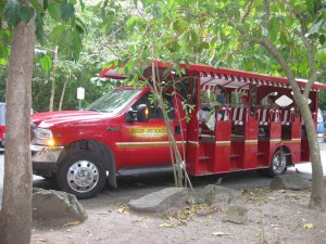 Our Safari Taxi Bus