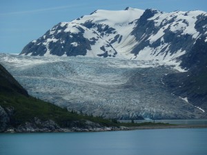 Reid Glacier in Glacier Bay