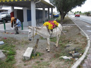 Road Town, Tortola