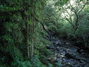 Road to Hana