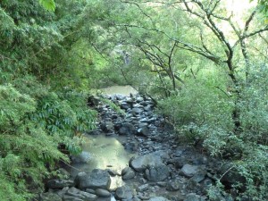 Road to Hana