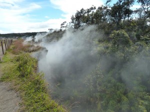 Steam Vents