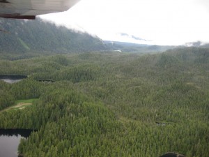 Tongass National Forest Flightseeing