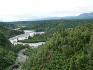 Train from Anchorage to Denali