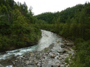 Train from Anchorage to Denali