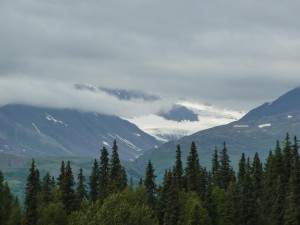Train from Anchorage to Denali