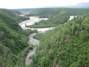 Train from Anchorage to Denali