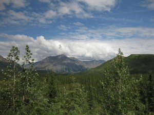 Train from Anchorage to Denali