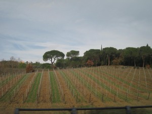 Tuscany countryside