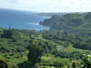 View of Wailua from Hana Highway