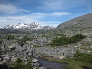 White Pass & Yukon Route Railroad