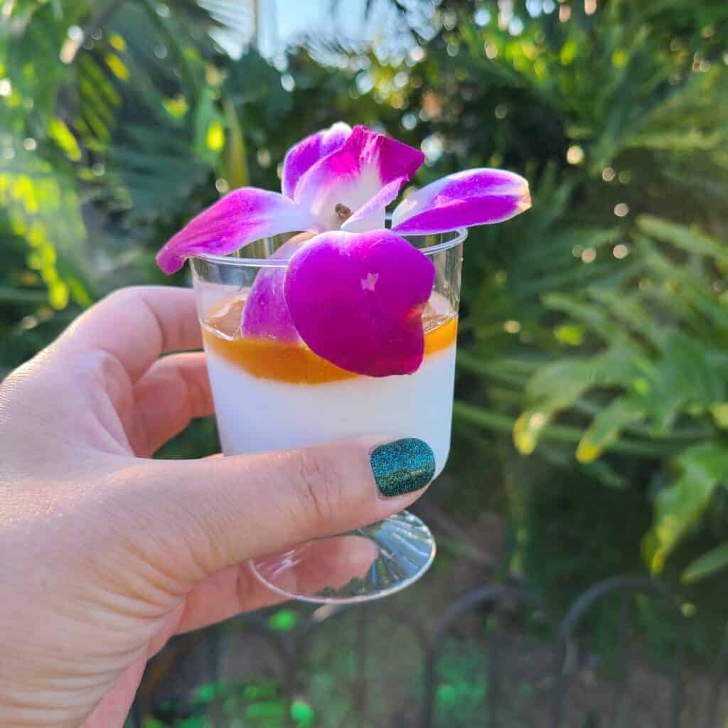 Haupia (Coconut Tropical Cheesecake) from Polynesian Flavors